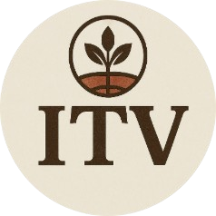 Indiantradeventures.com