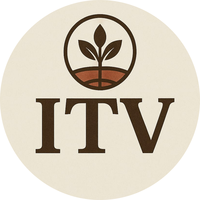 IndianTradeVentures